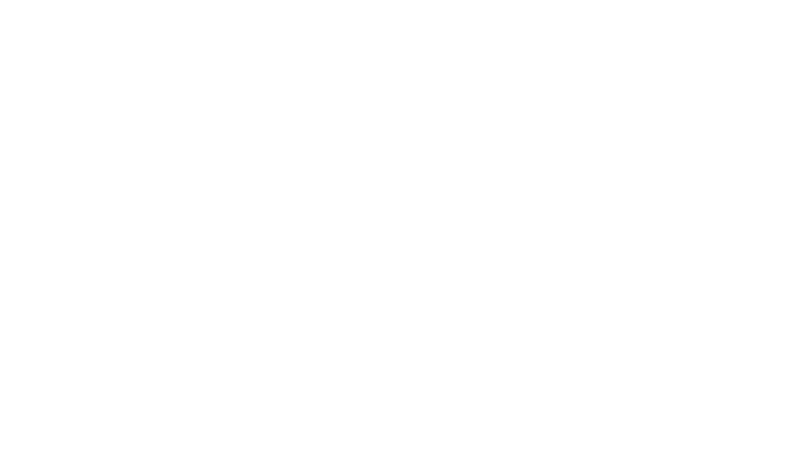 NAMIKI LAB Large Logo